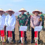 TNI dan PTPN IV Pacu Ketahanan Pangan, Pilot Project Kedelai 1.000 Hektare Dimulai di Simalungun TNI dan PTPN IV Pacu Ketahanan Pangan, Pilot Project Kedelai 1.000 Hektare Dimulai di Simalungun