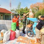 Mesin Penggiling Berputar, Semangat Ketahanan Pangan Digelorakan Babinsa. Mesin Penggiling Berputar, Semangat Ketahanan Pangan Digelorakan Babinsa.