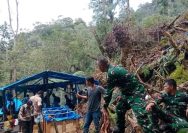 Tim Gabungan Tertibkan PETI di Pegagan Hilir, 47 Camp Hingga Mesin Dimusnahkan