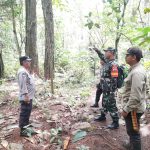 TNI-Polri dan Mahasiswa Patroli Bersama di KHDTK Aek Nauli, Pengamanan Hutan Diperkuat TNI-Polri dan Mahasiswa Patroli Bersama di KHDTK Aek Nauli, Pengamanan Hutan Diperkuat