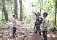 TNI-Polri dan Mahasiswa Patroli Bersama di KHDTK Aek Nauli, Pengamanan Hutan Diperkuat