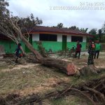 Hujan Angin Tumbangkan Pohon Timpa Madrasah di Bah Biak, Babinsa dan Warga Bergerak Bersihkan Lokasi. Hujan Angin Tumbangkan Pohon Timpa Madrasah di Bah Biak, Babinsa dan Warga Bergerak Bersihkan Lokasi.