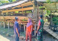 Babinsa Dorong Peternak Kambing di Sei Merbau, Tekankan Semangat dan Konsistensi Kembangkan Usaha.