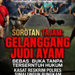 SOROTAN TAJAM: Gelanggang Judi Ayam ‘Joppanz’ Bebas Beroperasi Tanpa Tersentuh Hukum di Simalungun, Kasat Reskrim Bungkam. SOROTAN TAJAM: Gelanggang Judi Ayam ‘Joppanz’ Bebas Beroperasi Tanpa Tersentuh Hukum di Simalungun, Kasat Reskrim Bungkam.