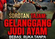 SOROTAN TAJAM: Gelanggang Judi Ayam ‘Joppanz’ Bebas Beroperasi Tanpa Tersentuh Hukum di Simalungun, Kasat Reskrim Bungkam.