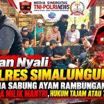 WARGA RAMBUNGAN MERADANG! ARENA JUDI SABUNG AYAM DIDUGA MILIK "OKNUM MANTRI" KIAN MERESAHKAN, KAPOLRES SIMALUNGUN DITANTANG TEGAS TANPA PANDANG BULU WARGA RAMBUNGAN MERADANG! ARENA JUDI SABUNG AYAM DIDUGA MILIK "OKNUM MANTRI" KIAN MERESAHKAN, KAPOLRES SIMALUNGUN DITANTANG TEGAS TANPA PANDANG BULU