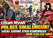 WARGA RAMBUNGAN MERADANG! ARENA JUDI SABUNG AYAM DIDUGA MILIK "OKNUM MANTRI" KIAN MERESAHKAN, KAPOLRES SIMALUNGUN DITANTANG TEGAS TANPA PANDANG BULU
