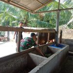 Cegah Penyakit pada Ternak, Babinsa Serbelawan Edukasi Peternak Sapi. Cegah Penyakit pada Ternak, Babinsa Serbelawan Edukasi Peternak Sapi.