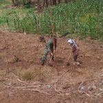 Peduli Petani, Babinsa Koramil 14/Raya Bantu Bersihkan Lahan Jagung Warga.