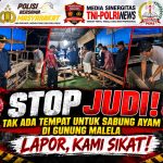 Respons Cepat Dumas Warga, Polsek Gunung Malela Langsung Hentikan dan Bongkar Arena Sabung Ayam di Karang Bangun dan Di Belakang Obor . Respons Cepat Dumas Warga, Polsek Gunung Malela Langsung Hentikan dan Bongkar Arena Sabung Ayam di Karang Bangun dan Di Belakang Obor .