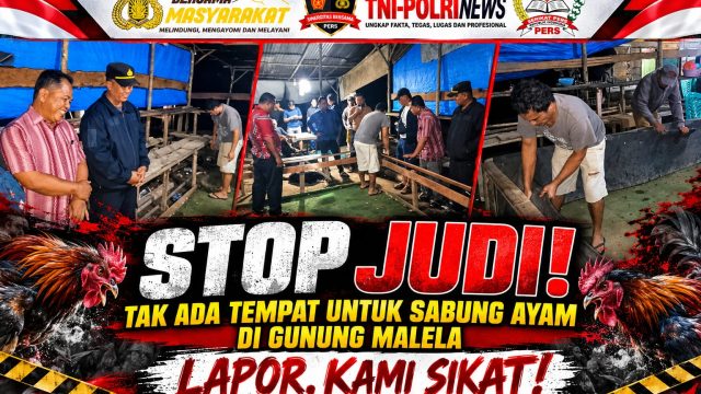Respons Cepat Dumas Warga, Polsek Gunung Malela Langsung Hentikan dan Bongkar Arena Sabung Ayam di Karang Bangun dan Di Belakang Obor .