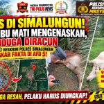 Omak ! Rugi Puluhan Juta, Peternak di Simalungun Desak Pengusutan Kematian Massal 5 Lembunya di Area Kebun Dolok Ilir. Omak ! Rugi Puluhan Juta, Peternak di Simalungun Desak Pengusutan Kematian Massal 5 Lembunya di Area Kebun Dolok Ilir.