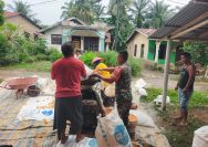 Tak Hanya Menjaga Wilayah, Babinsa Koramil 10/Tanah Jawa Juga Dukung Produktivitas Petani.