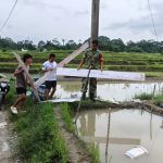 Dukung Usaha Perikanan Warga, Babinsa Kodim 0207/Simalungun Sambangi Peternak Lele Jumbo dan Ikan Mas Dukung Usaha Perikanan Warga, Babinsa Kodim 0207/Simalungun Sambangi Peternak Lele Jumbo dan Ikan Mas