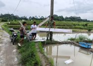Dukung Usaha Perikanan Warga, Babinsa Kodim 0207/Simalungun Sambangi Peternak Lele Jumbo dan Ikan Mas