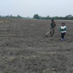 Perkuat Ketahanan Pangan, Babinsa Koramil 10/Tanah Jawa Turun ke Ladang Bantu Petani Tanam Jagung.